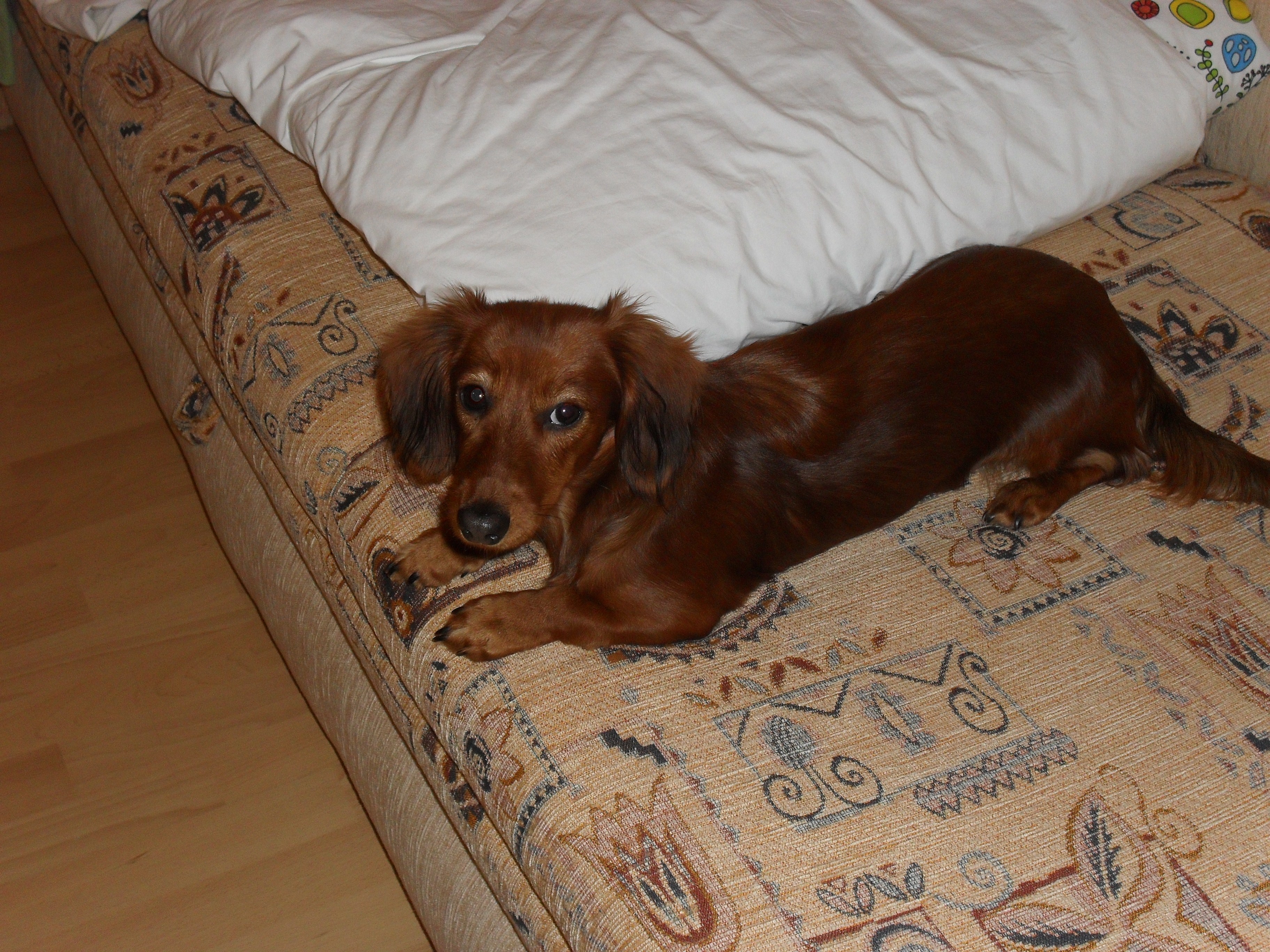 Cherry a iné fotky 015